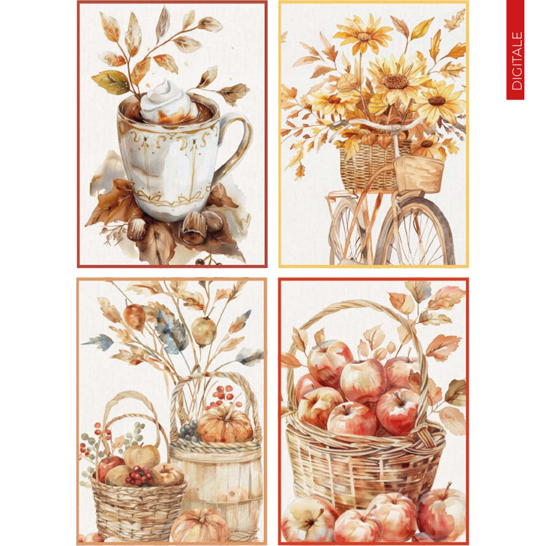 Strofinacci set 4pezzi assortiti stampa digitali 100% cotone sghone
