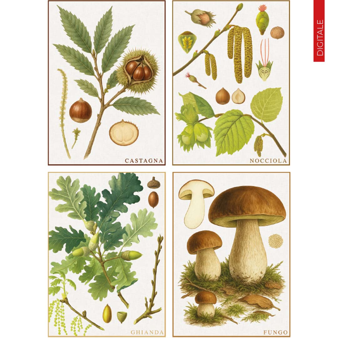 Strofinacci Botanica 100% cotone stampa digitale sghome set 4 pezzi